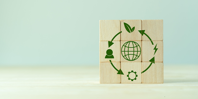 The Circular Economy, vector of sustainable growth?