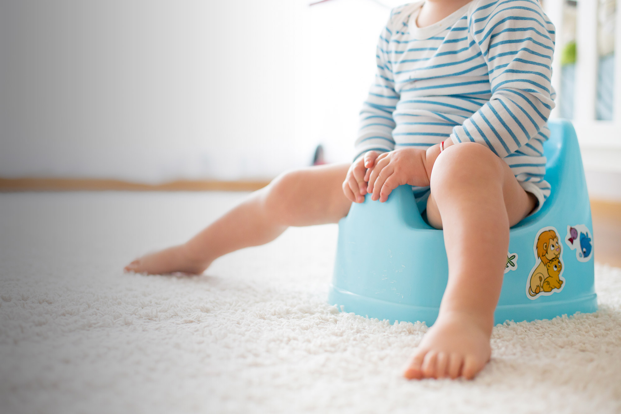 Les essentiels de la petite enfance